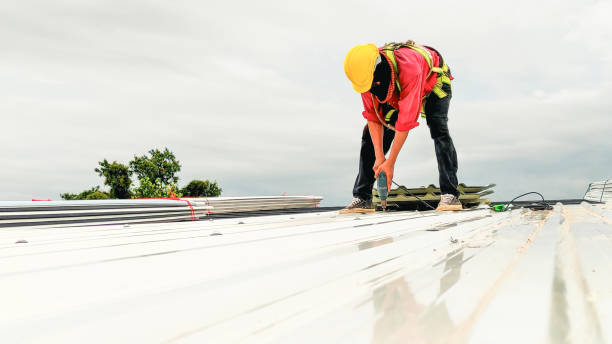 Best Roof Leak Repair  in Ashland, NE