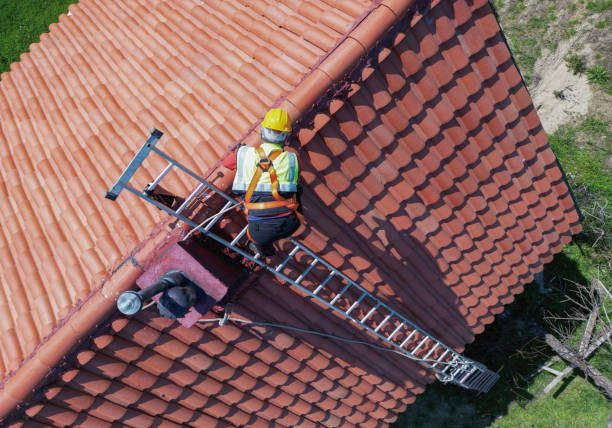 Best Roof Coating and Sealing  in Ashland, NE