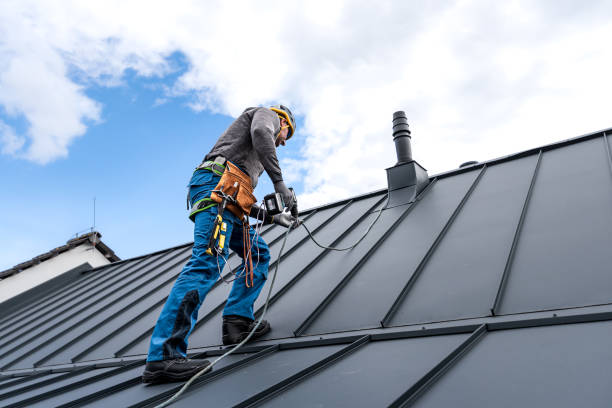 Best Skylight Installation and Repair  in Ashland, NE